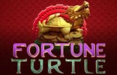 Fortune Turtle brabet